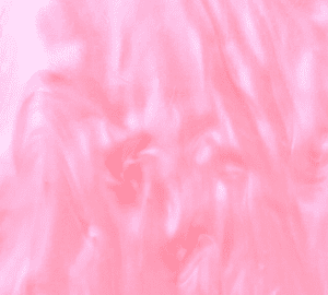 Pink Lady (A 24)